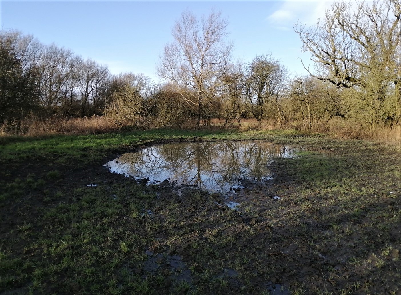 The Upper Rother Catchment: Creating an evidence directory of natural ...